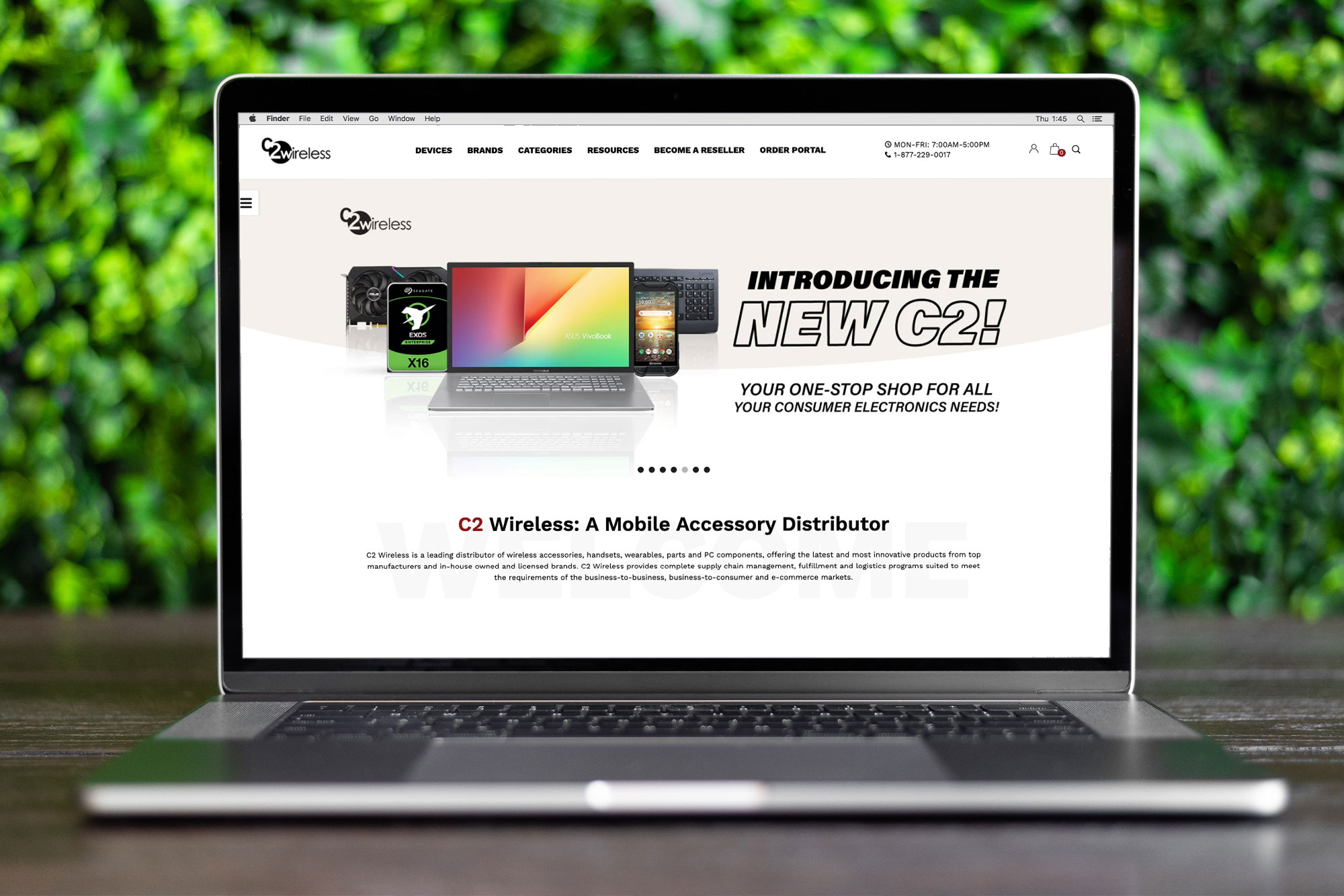 Web Design – Chris Heredia